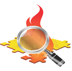 IGNIS Forensic Fire Investigations and Prevention